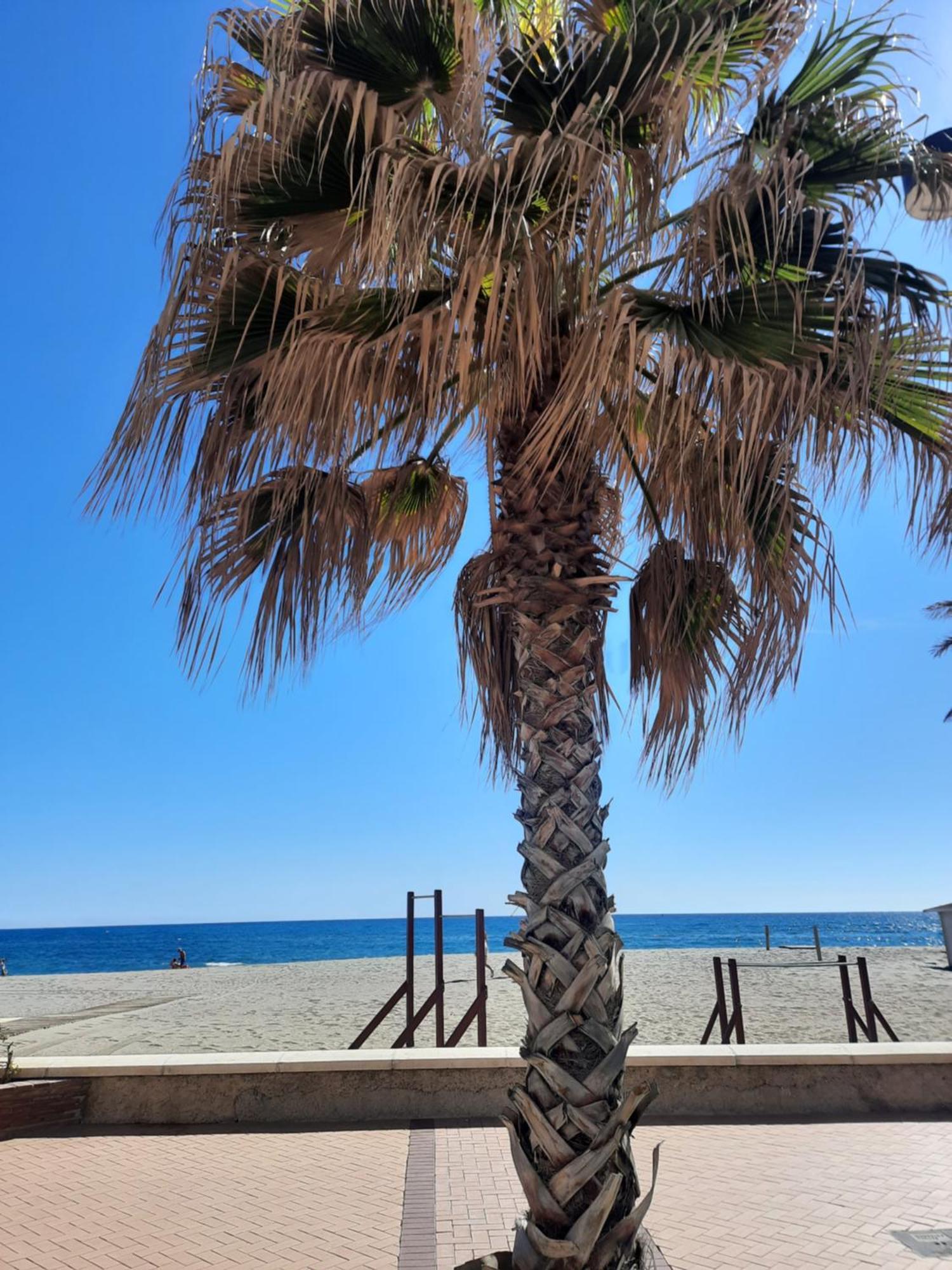 Fuengirola Apartment Carvajal Front Line Primera Linea Екстериор снимка